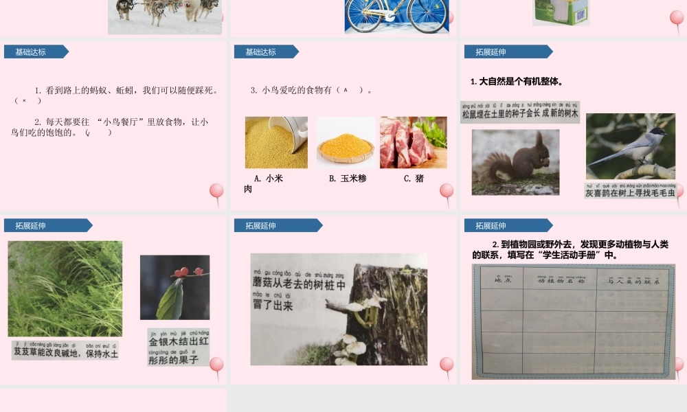 二年级科学上册 我们的地球家园 7做大自然的孩子课件 教科版-教科版小学二年级上册自然科学课件