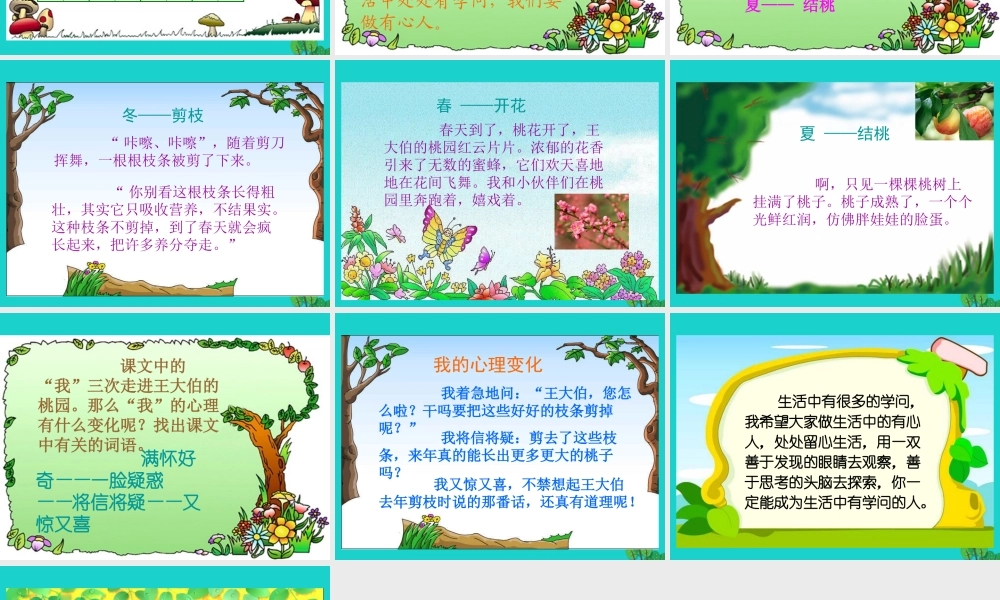 三年级语文下册 第三单元 9《剪枝的学问》教学课件 苏教版-苏教版小学三年级下册语文课件
