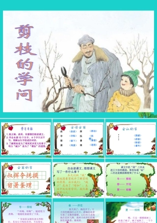 三年级语文下册 第三单元 9《剪枝的学问》教学课件 苏教版-苏教版小学三年级下册语文课件