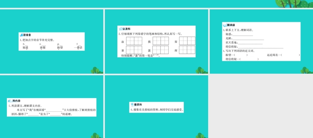 三年级语文下册 第三单元 9《剪枝的学问》预习课件 苏教版-苏教版小学三年级下册语文课件