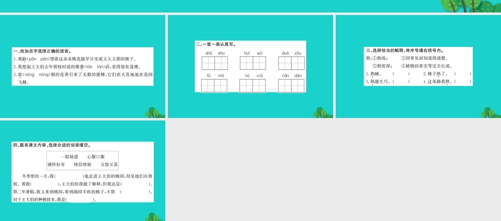 三年级语文下册 第三单元 9《剪枝的学问》作业课件 苏教版-苏教版小学三年级下册语文课件