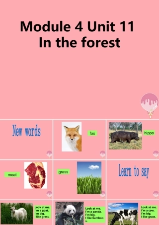 二年级英语上册 Unit 11 In the forest课件2 牛津上海版-牛津上海版小学二年级上册英语课件