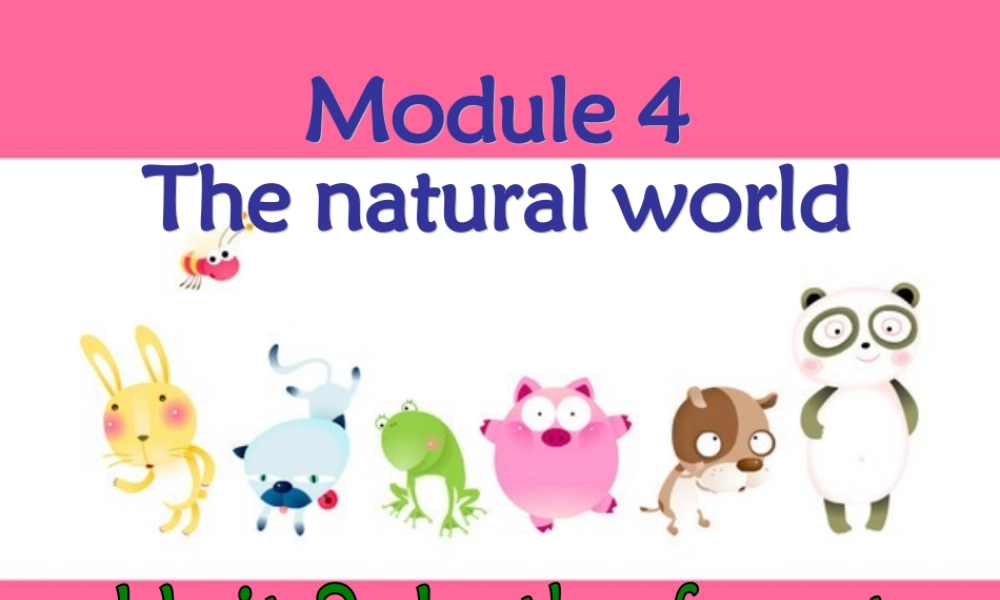 二年级英语上册 Unit 11 In the forest课件3 牛津上海版-牛津上海版小学二年级上册英语课件