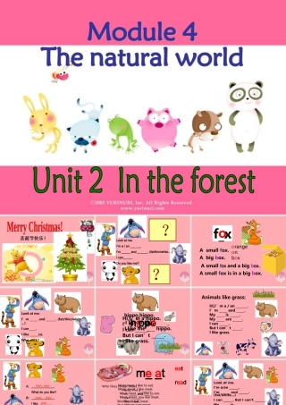 二年级英语上册 Unit 11 In the forest课件3 牛津上海版-牛津上海版小学二年级上册英语课件