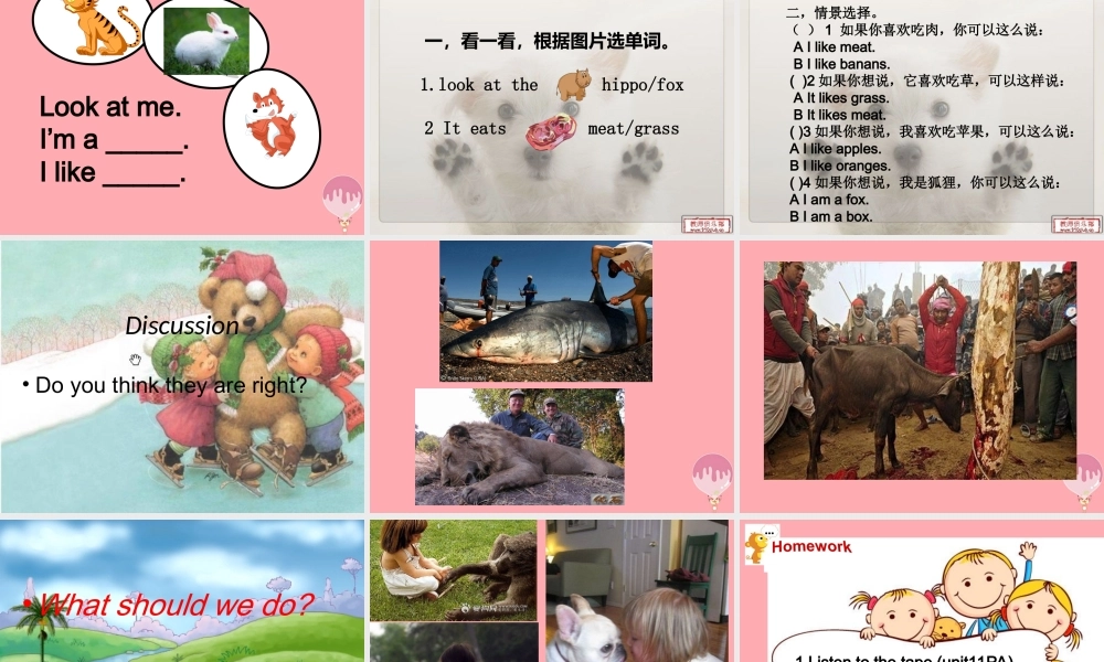 二年级英语上册 Unit 11 In the forest课件4 牛津上海版-牛津上海版小学二年级上册英语课件