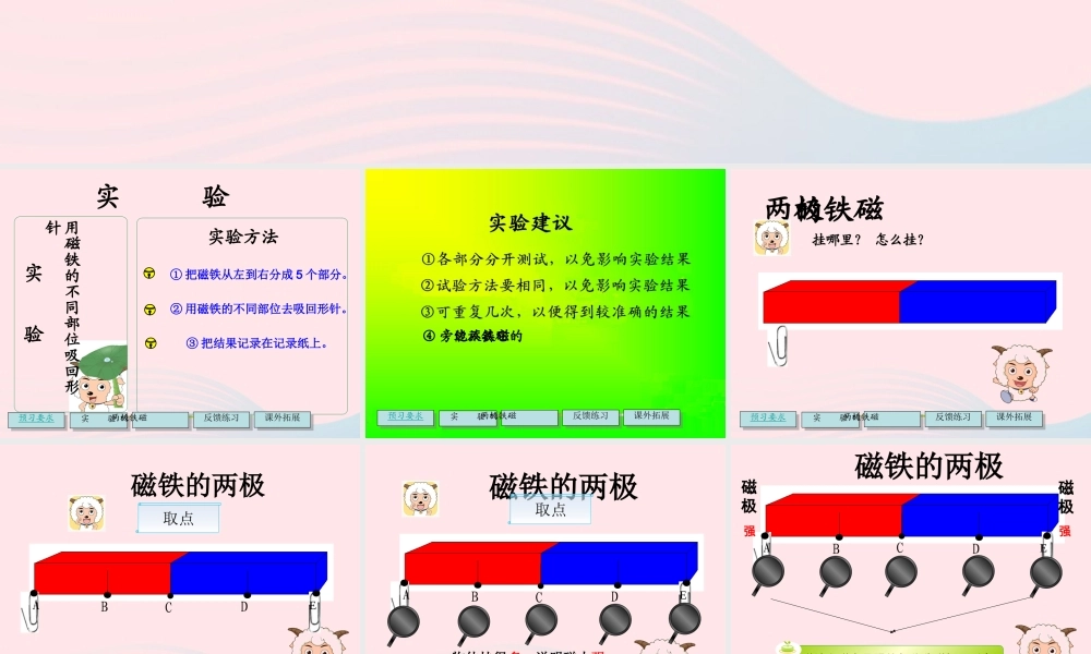 二年级科学下册 磁铁 3 磁铁的两极课件 教科版-教科版小学二年级下册自然科学课件