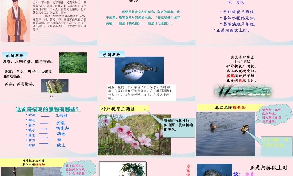 三年级语文下册 第一单元 1《古诗三首》惠崇春江晚景课件 新人教版-新人教级下册语文课件