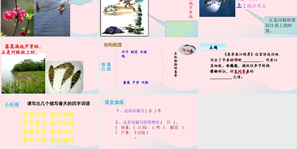 三年级语文下册 第一单元 1《古诗三首》惠崇春江晚景课件 新人教版-新人教级下册语文课件