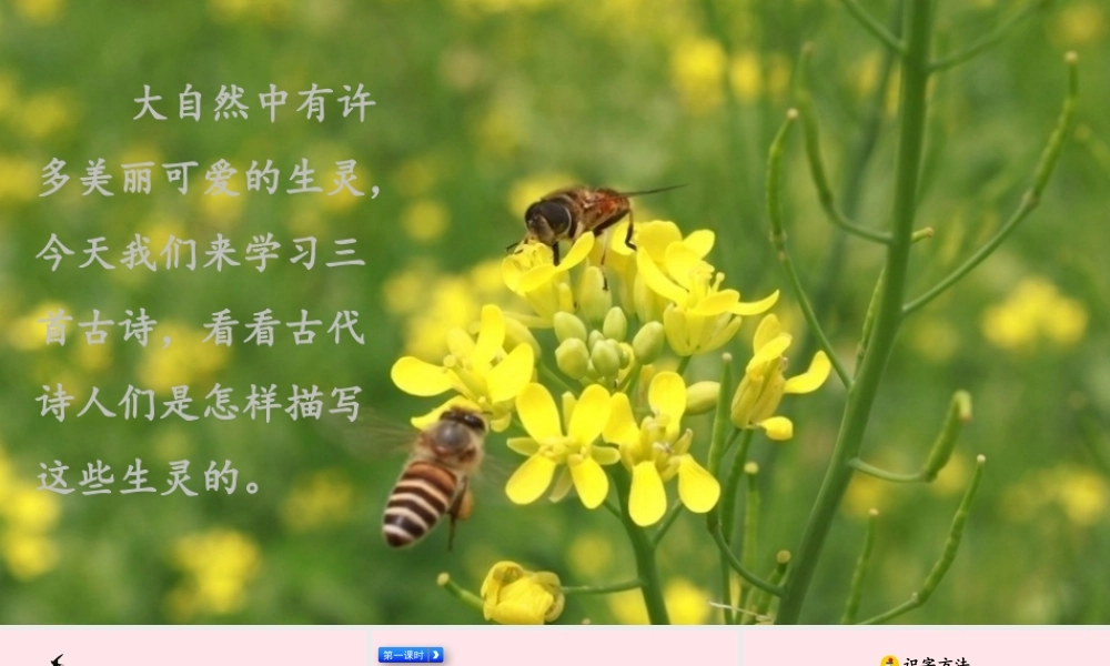 三年级语文下册 第一单元 1《古诗三首》教学课件 新人教版-新人教级下册语文课件