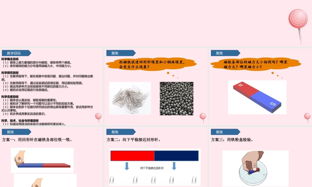 二年级科学下册 磁铁 3磁铁的两极课件 教科版-教科级下册自然科学课件