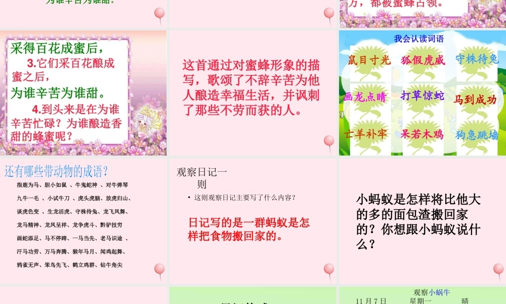 三年级语文下册 第二单元《语文百花园二》课件1 语文S版-语文S版小学三年级下册语文课件