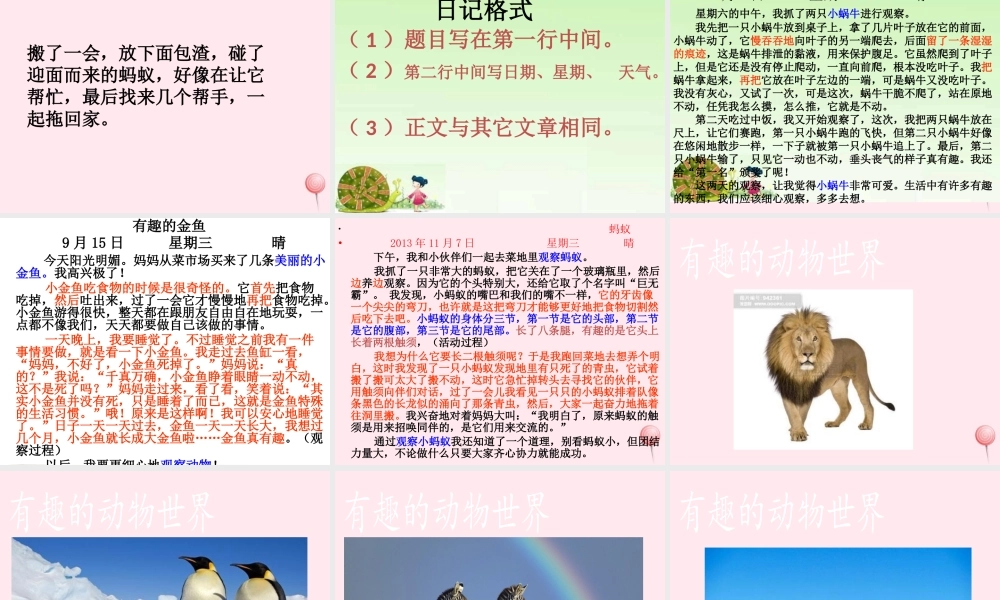 三年级语文下册 第二单元《语文百花园二》课件1 语文S版-语文S版小学三年级下册语文课件
