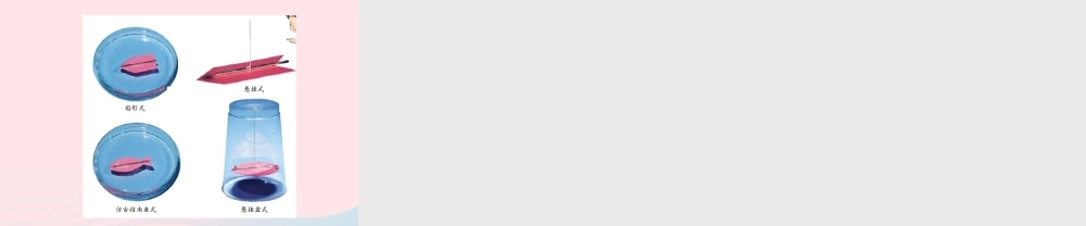 二年级科学下册 磁铁 5《做一个指南针》课件 教科版-教科版小学二年级下册自然科学课件