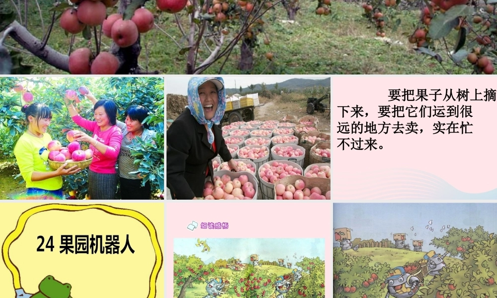 三年级语文下册 第六组 24《果园机器人》课堂教学课件3 新人教版-新人教版小学三年级下册语文课件