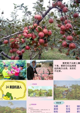 三年级语文下册 第六组 24《果园机器人》课堂教学课件3 新人教版-新人教版小学三年级下册语文课件