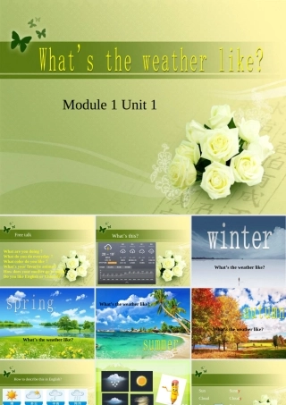 二年级英语下册 Module 1 Unit 1 What’s the weather like课件2 外研版（一起）-外研版小学二年级下册英语课件