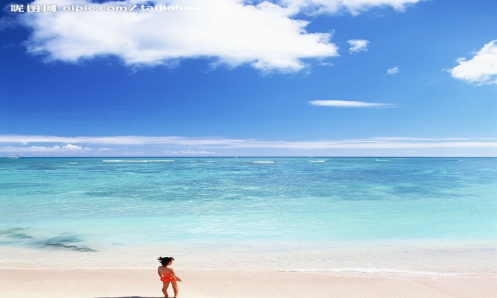 三年级语文下册 第四单元 11赶海课件1 苏教版-苏教版小学三年级下册语文课件