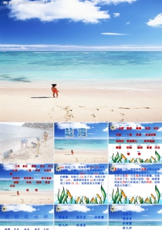 三年级语文下册 第四单元 11赶海课件1 苏教版-苏教版小学三年级下册语文课件