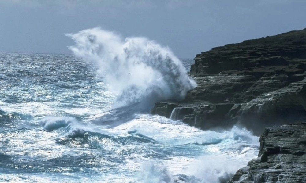 三年级语文下册 第四单元 11赶海课件2 苏教版-苏教版小学三年级下册语文课件