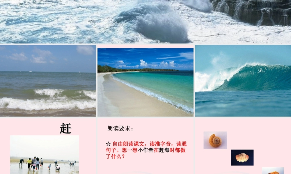 三年级语文下册 第四单元 11赶海课件2 苏教版-苏教版小学三年级下册语文课件