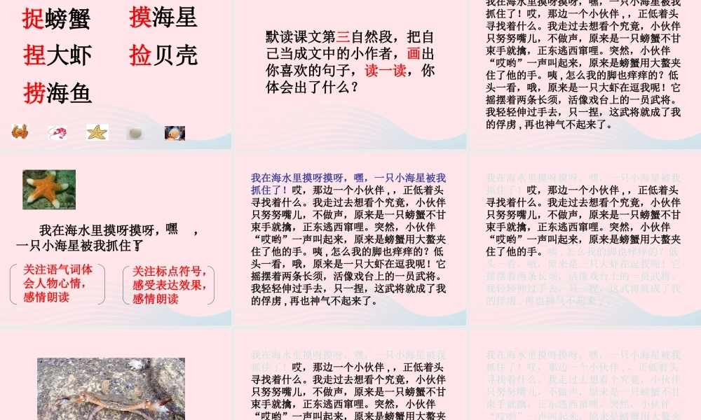 三年级语文下册 第四单元 11赶海课件2 苏教版-苏教版小学三年级下册语文课件