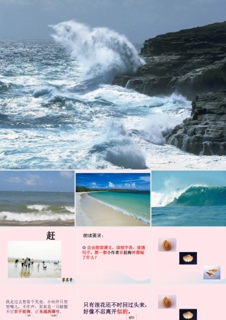 三年级语文下册 第四单元 11赶海课件2 苏教版-苏教版小学三年级下册语文课件