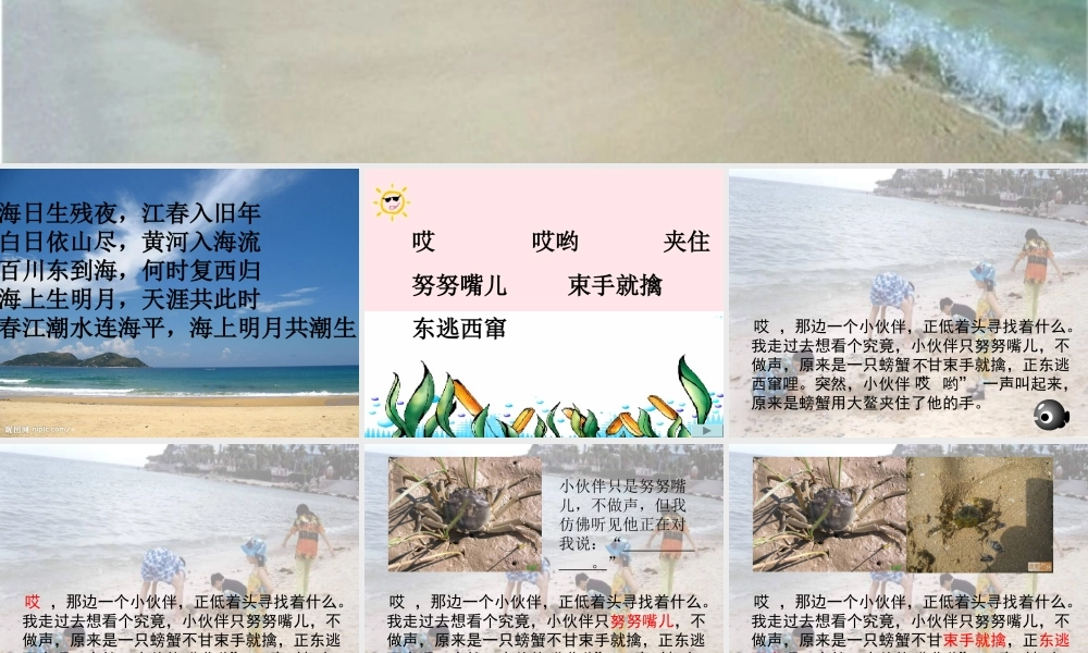 三年级语文下册 第四单元 11赶海课件3 苏教版-苏教版小学三年级下册语文课件