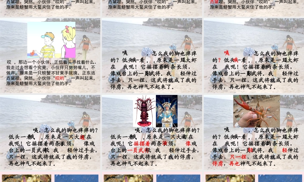 三年级语文下册 第四单元 11赶海课件3 苏教版-苏教版小学三年级下册语文课件