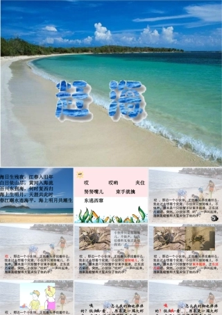 三年级语文下册 第四单元 11赶海课件3 苏教版-苏教版小学三年级下册语文课件