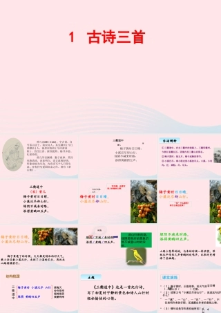 三年级语文下册 第一单元 1《古诗三首》三衢道中课件 新人教版-新人教级下册语文课件