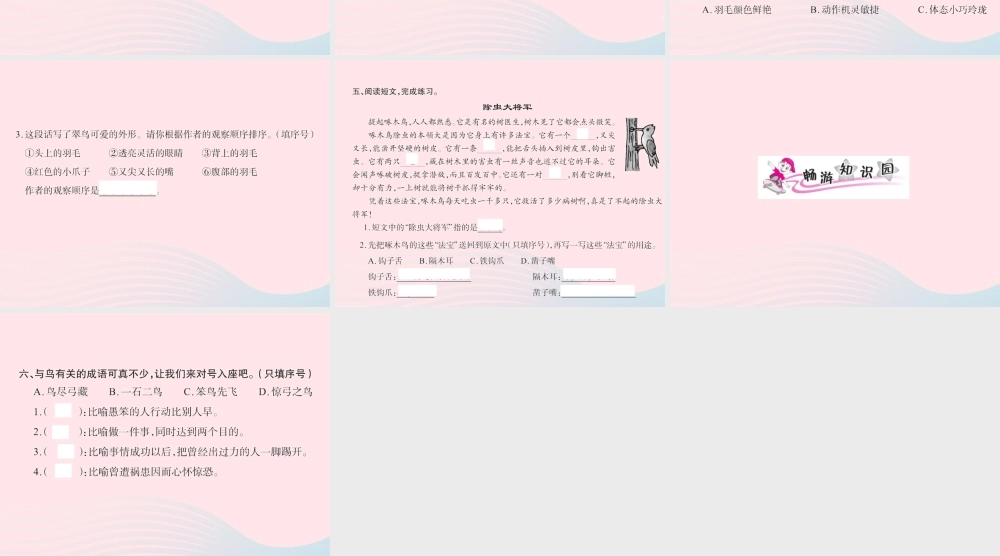 三年级语文下册 第二组 5 翠鸟习题课件 新人教版-新人教版小学三年级下册语文课件