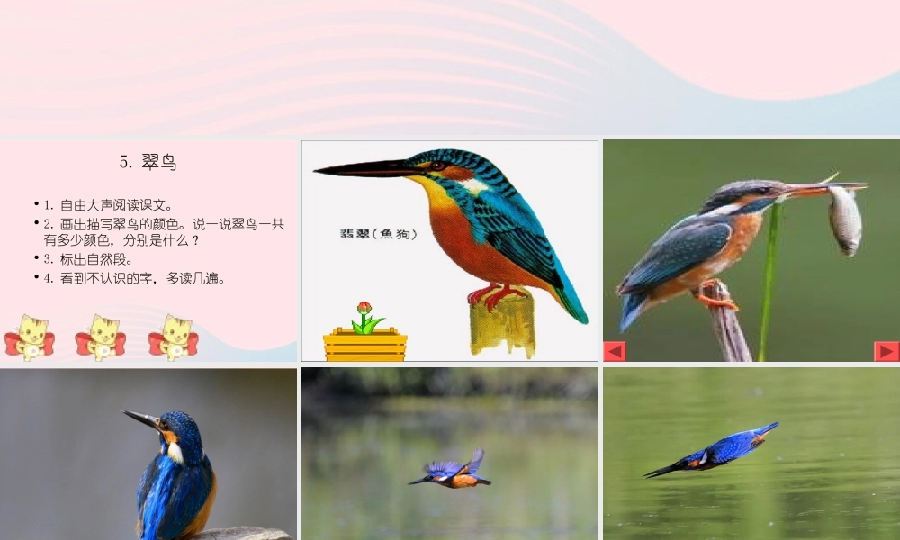 三年级语文下册 第二组 5《翠鸟》课堂教学课件1 新人教版-新人教版小学三年级下册语文课件