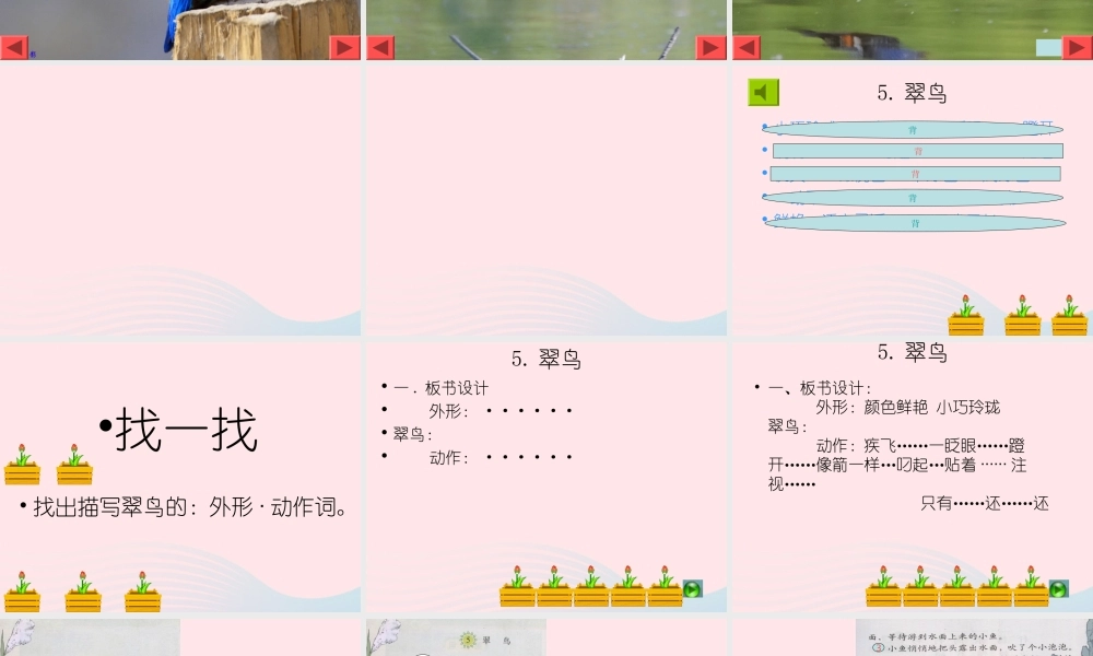 三年级语文下册 第二组 5《翠鸟》课堂教学课件1 新人教版-新人教版小学三年级下册语文课件