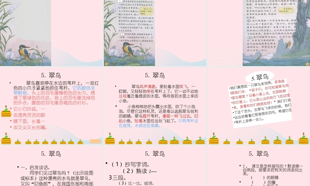 三年级语文下册 第二组 5《翠鸟》课堂教学课件1 新人教版-新人教版小学三年级下册语文课件