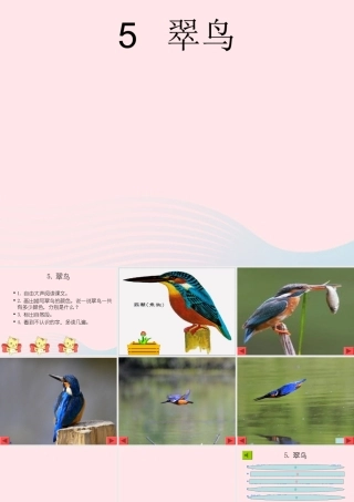 三年级语文下册 第二组 5《翠鸟》课堂教学课件1 新人教版-新人教版小学三年级下册语文课件