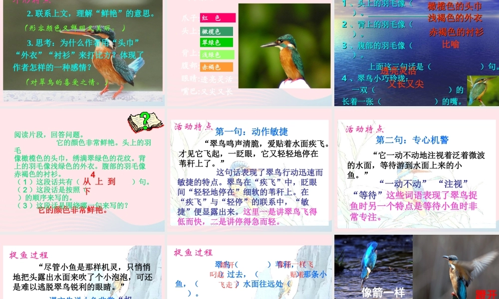 三年级语文下册 第二组 5《翠鸟》课堂教学课件2 新人教版-新人教版小学三年级下册语文课件