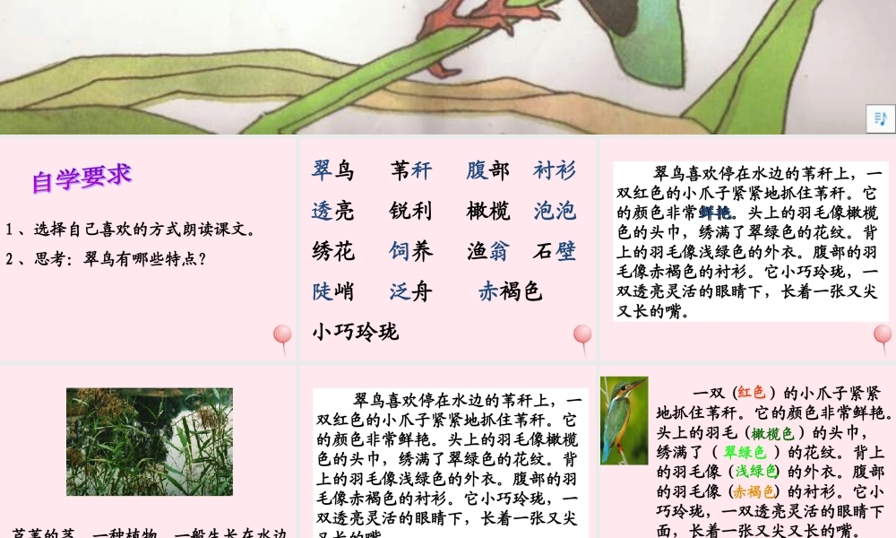 三年级语文下册 第二组 5《翠鸟》课堂教学课件3 新人教版-新人教版小学三年级下册语文课件