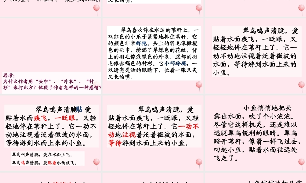 三年级语文下册 第二组 5《翠鸟》课堂教学课件3 新人教版-新人教版小学三年级下册语文课件
