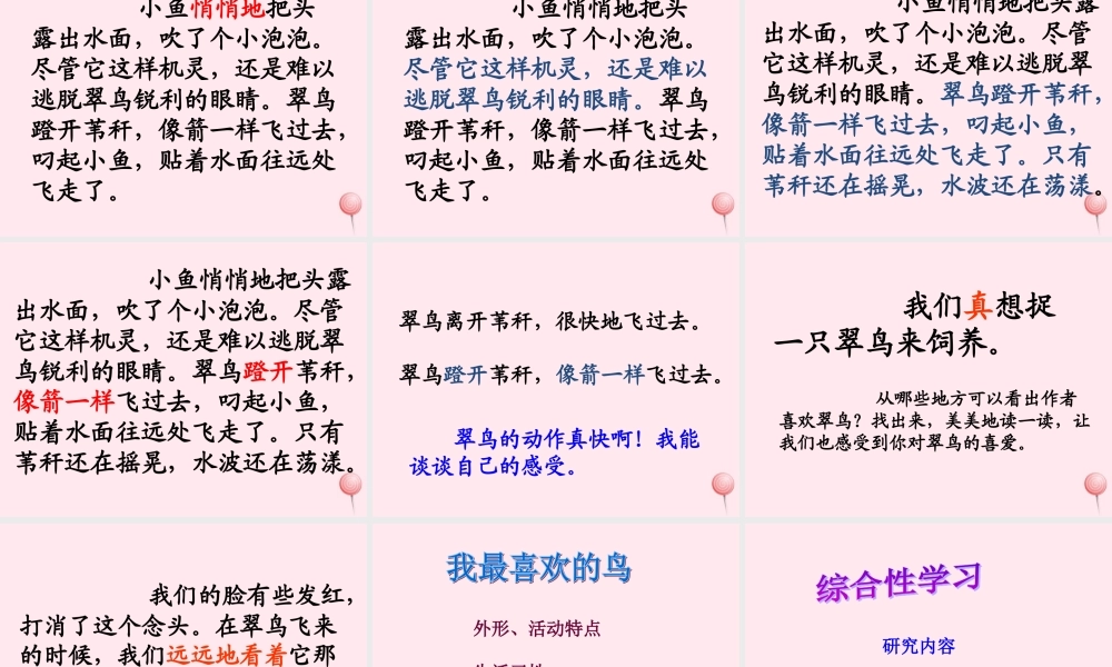 三年级语文下册 第二组 5《翠鸟》课堂教学课件3 新人教版-新人教版小学三年级下册语文课件