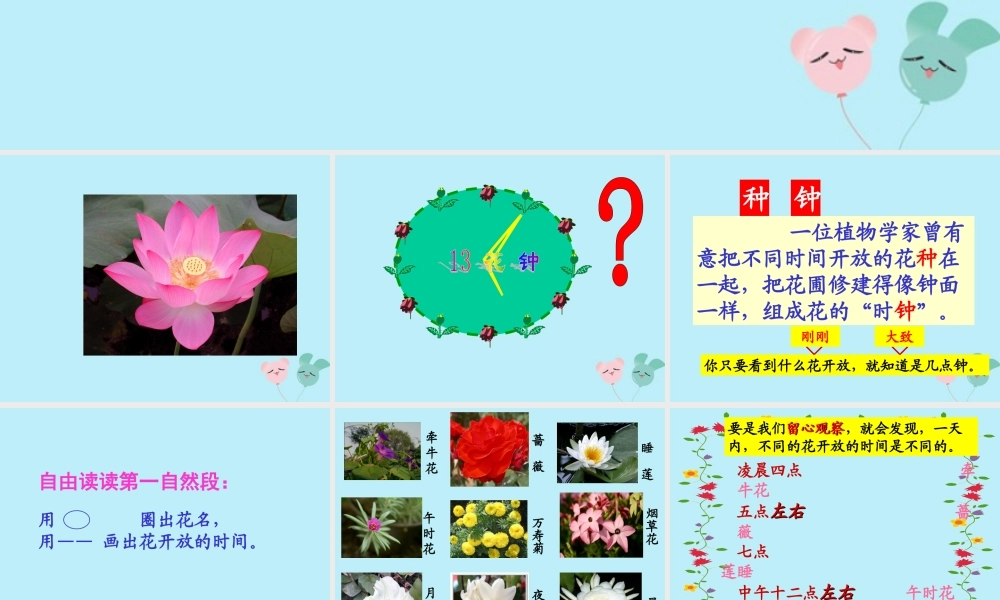 三年级语文下册 第四单元 13 花钟教学课件 新人教版-新人教版小学三年级下册语文课件