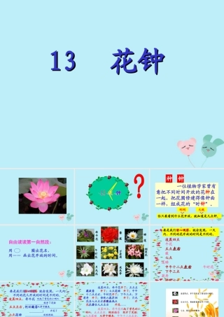 三年级语文下册 第四单元 13 花钟教学课件 新人教版-新人教版小学三年级下册语文课件