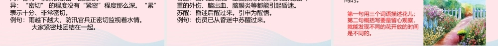 三年级语文下册 第四单元 13 花钟课件 新人教版-新人教版小学三年级下册语文课件