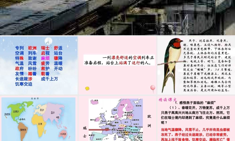 三年级语文下册 第二组 6《燕子专列》课堂教学课件2 新人教版-新人教版小学三年级下册语文课件