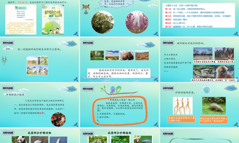 二年级科学下册 第2单元 春和夏 5 做个绿色小使者课件 冀人版-人教版小学二年级下册自然科学课件