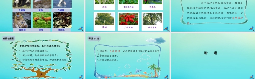 二年级科学下册 第2单元 春和夏 5 做个绿色小使者课件 冀人版-人教版小学二年级下册自然科学课件