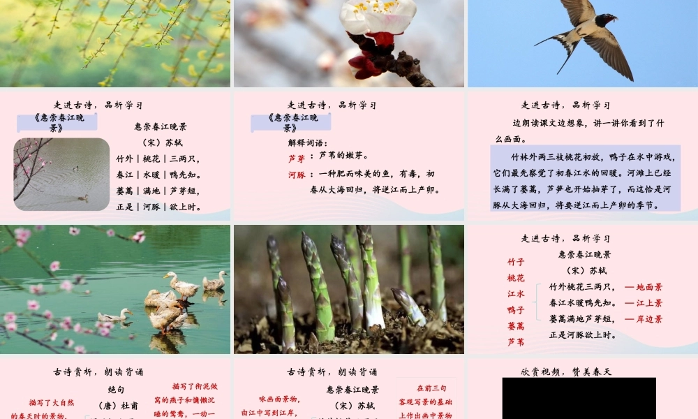 三年级语文下册 第一单元 1《古诗三首》优质课件（品析学习） 新人教版-新人教版小学三年级下册语文课件