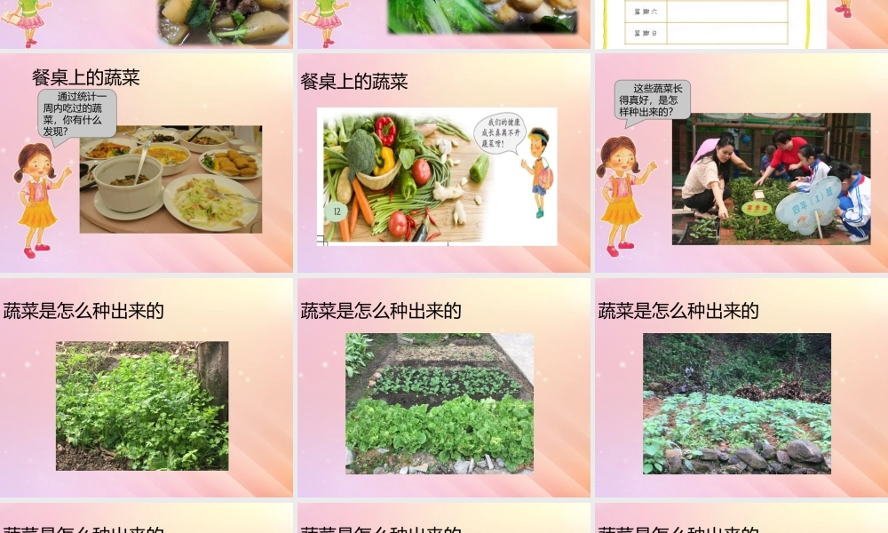 二年级科学下册 第2单元 一起种蔬菜 第5课 我们离不开蔬菜课件 （新版）粤教版-（新版）粤教版小学二年级下册自然科学课件