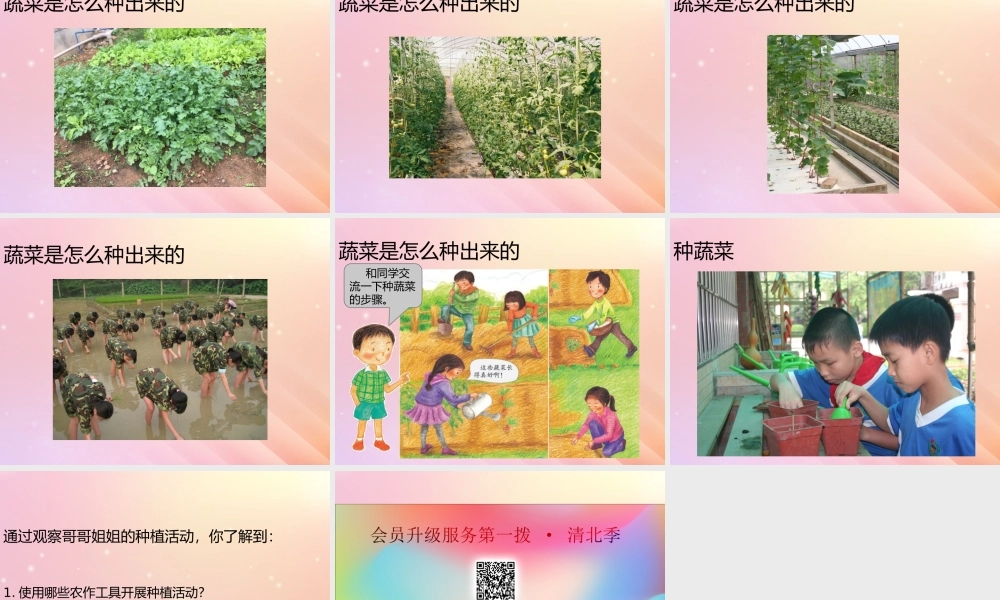 二年级科学下册 第2单元 一起种蔬菜 第5课 我们离不开蔬菜课件 （新版）粤教版-（新版）粤教版小学二年级下册自然科学课件