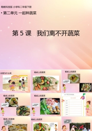 二年级科学下册 第2单元 一起种蔬菜 第5课 我们离不开蔬菜课件 （新版）粤教版-（新版）粤教版小学二年级下册自然科学课件