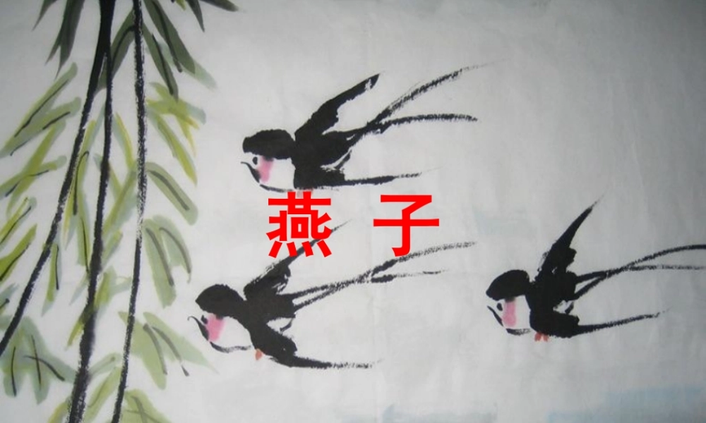 三年级语文下册 第一单元 1《燕子》教学课件 苏教版-苏教版小学三年级下册语文课件